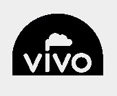 vivo_liquids_logo_2.png
