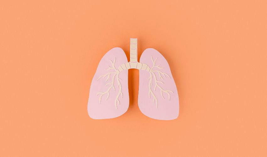 Beeinträchtigt Cannabis das Lungenvolumen?